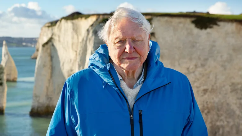 David Attenborough 100 Yaşında, Emmy Adaylığına Bir Adım Daha Yaklaştı