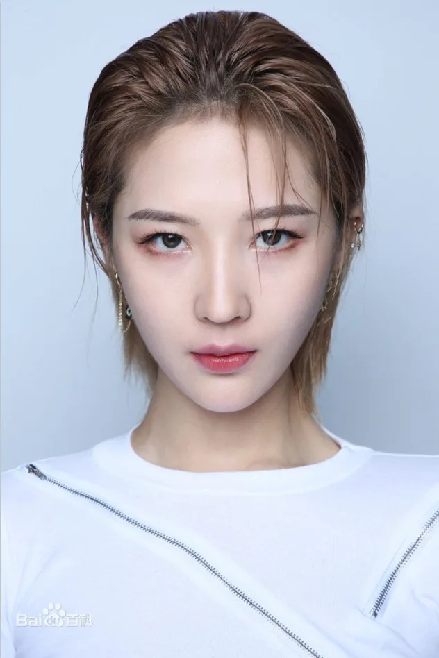 Imagen de portada para Wang Xiaoshi