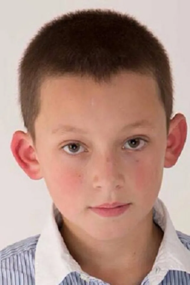 Cover image for Arseny Perel