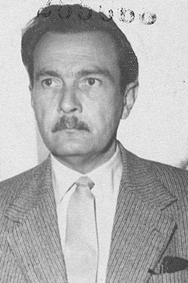 Dezső Ákos Hamza için kapak görseli
