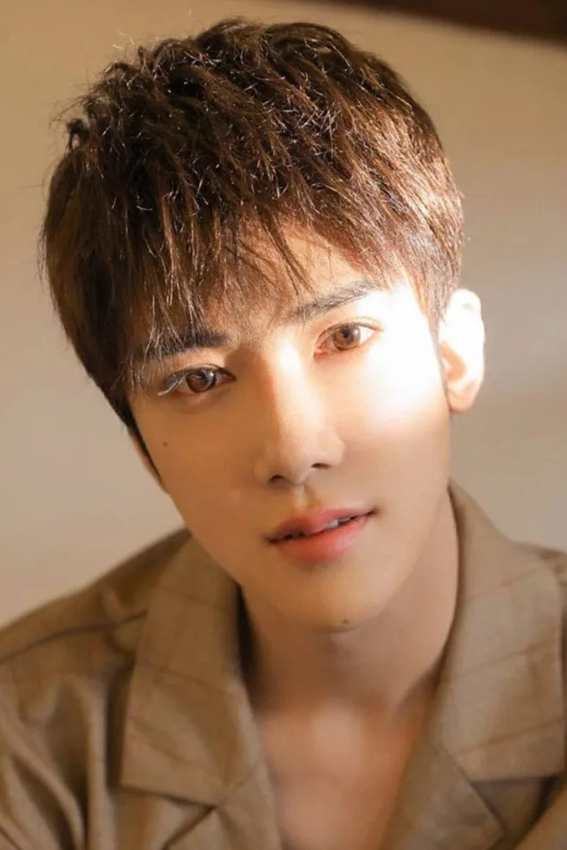 Cover image for Liu Zhaohong