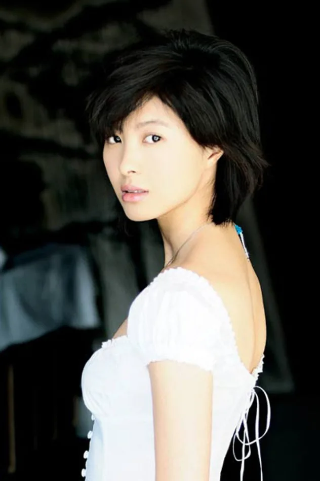 Zheng Ping için kapak görseli