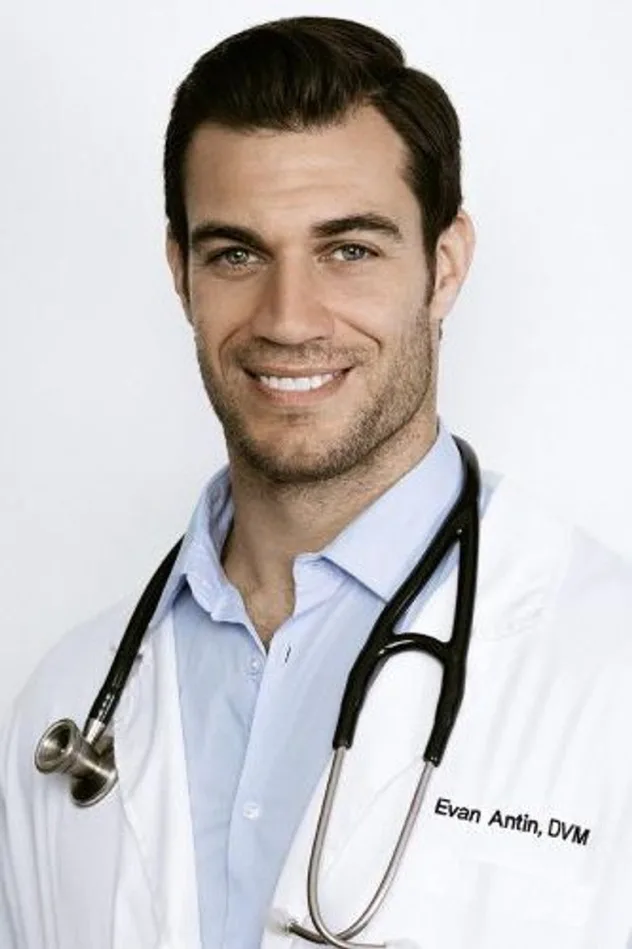 Cover image for Evan Antin