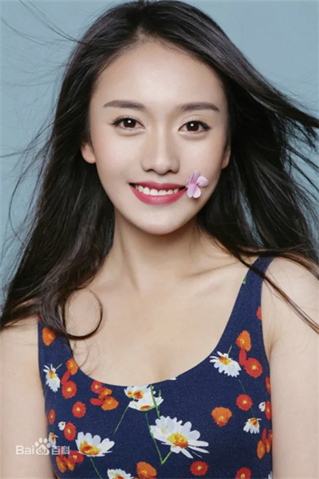 Imagen de portada para Lu Qiwei
