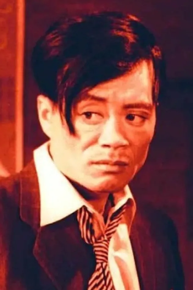Zhang Huaizhi için kapak görseli