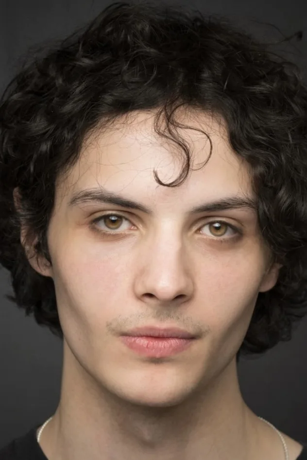 Cover image for Wiljo Martin