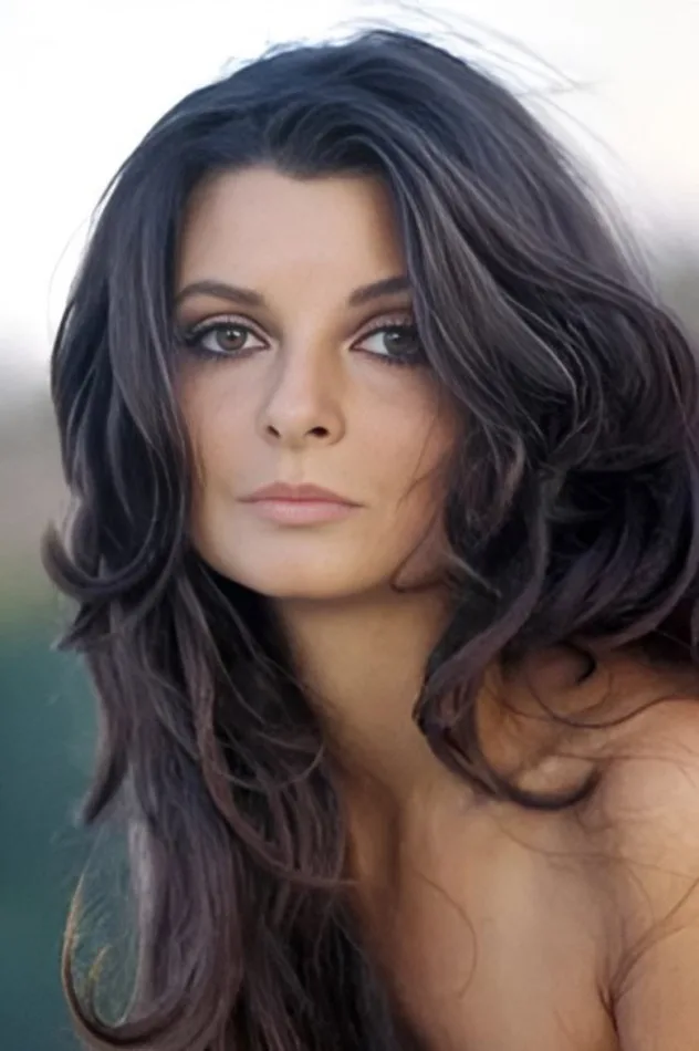 صورة الغلاف لـ Anne Libert