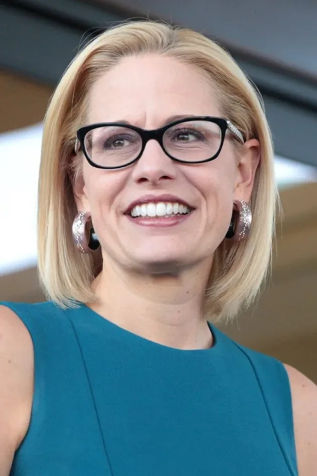 Обложка для Krysten Sinema