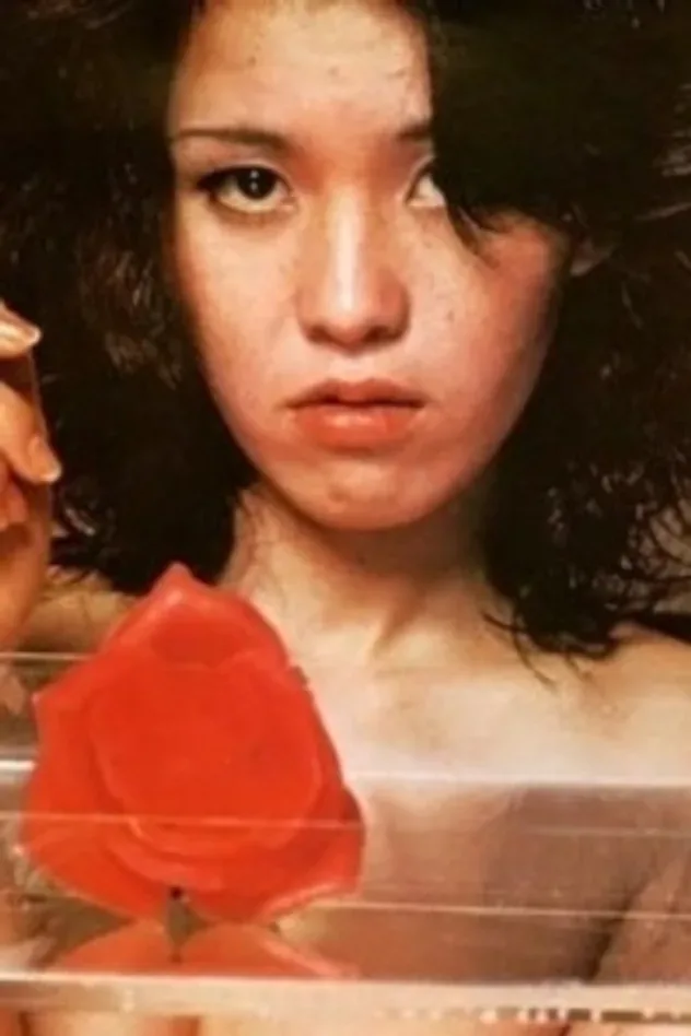Imagen de portada para Meika Seri