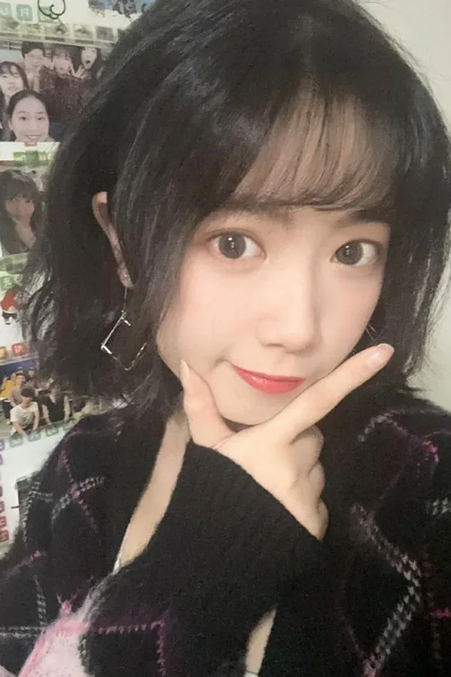 Cover image for Nie Xiying
