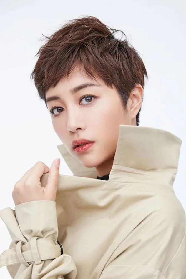 Cover image for Zhang Lingxin
