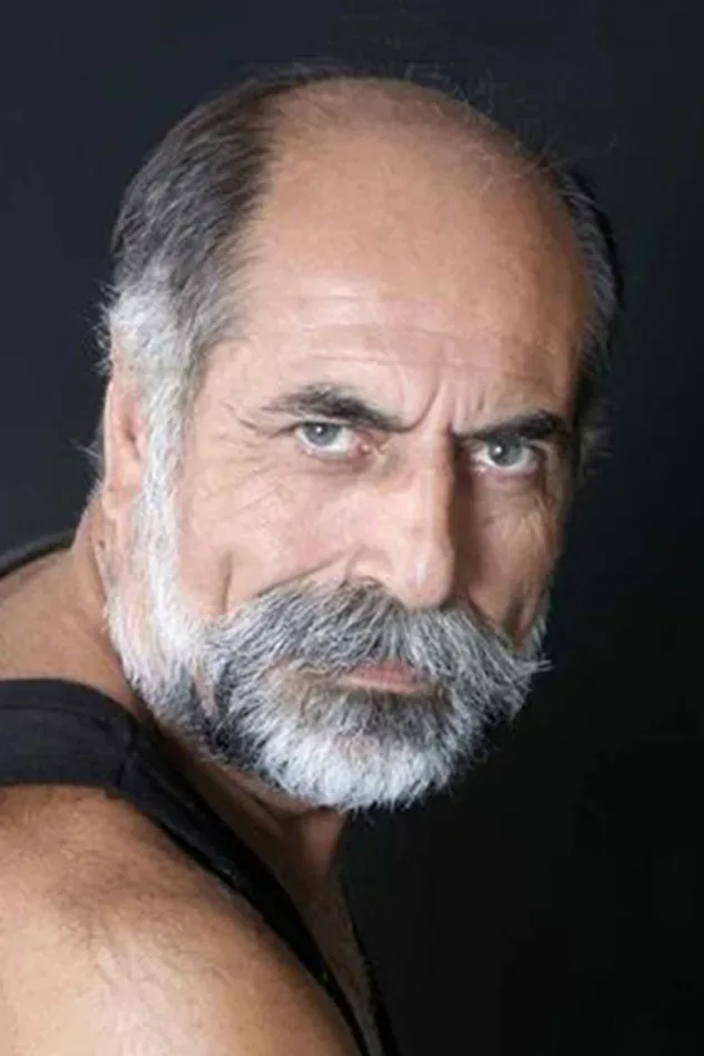 Imagen de portada para Şahin Çelik