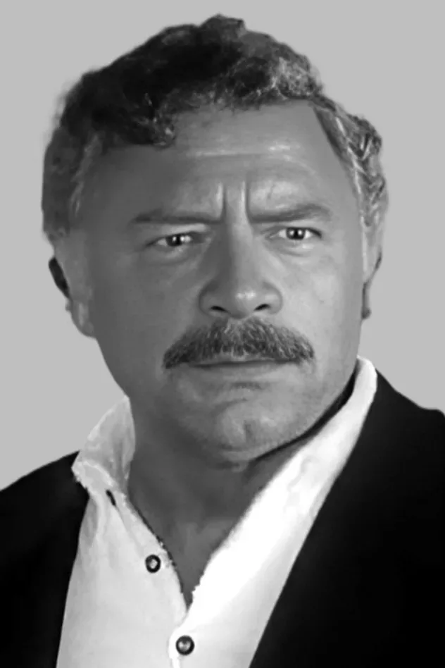 Cover image for Nikša Stefanini