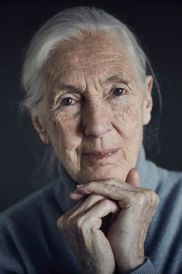 Обложка для Jane Goodall