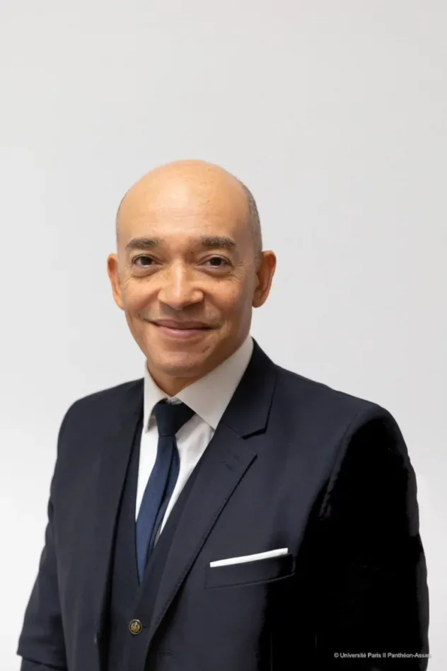 Imagen de portada para Fabrice d'Almeida