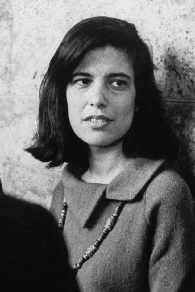 Обложка для Susan Sontag