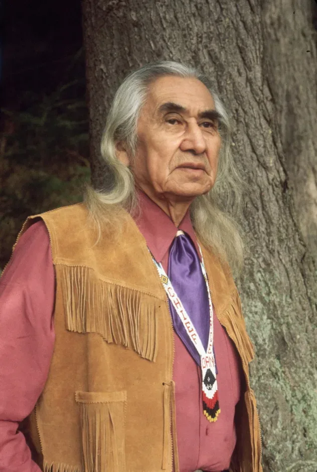 صورة الغلاف لـ Chief Dan George