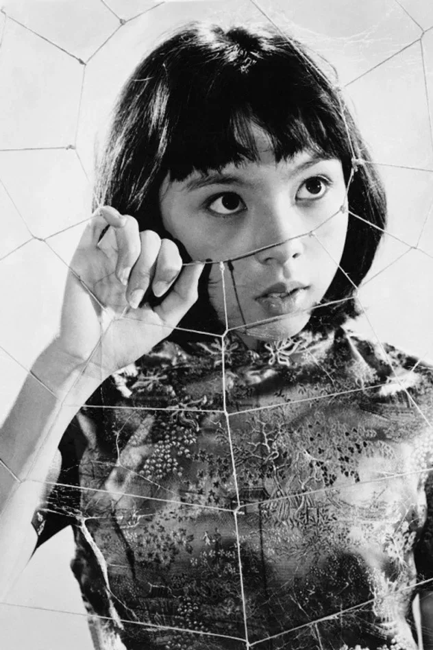 Imagen de portada para Lynne Sue Moon