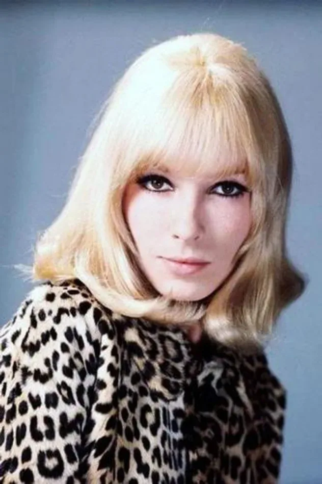 Imagen de portada para Dany Saval