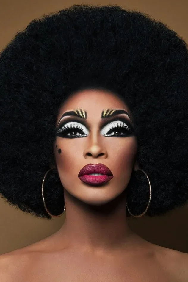 Обложка для The Vixen