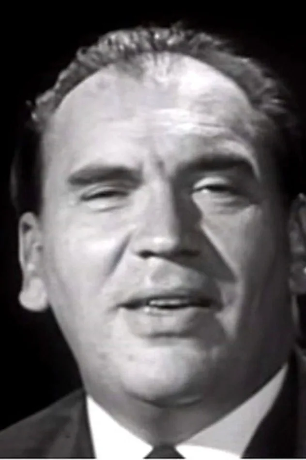 Cover image for Romhányi József