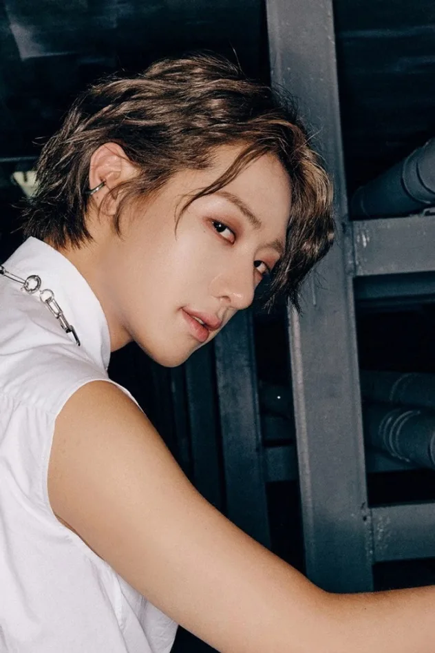 Cover image for Son Young-taek