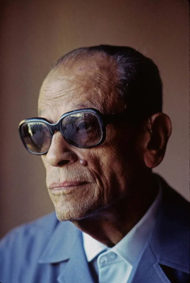 Imagen de portada para Naguib Mahfouz