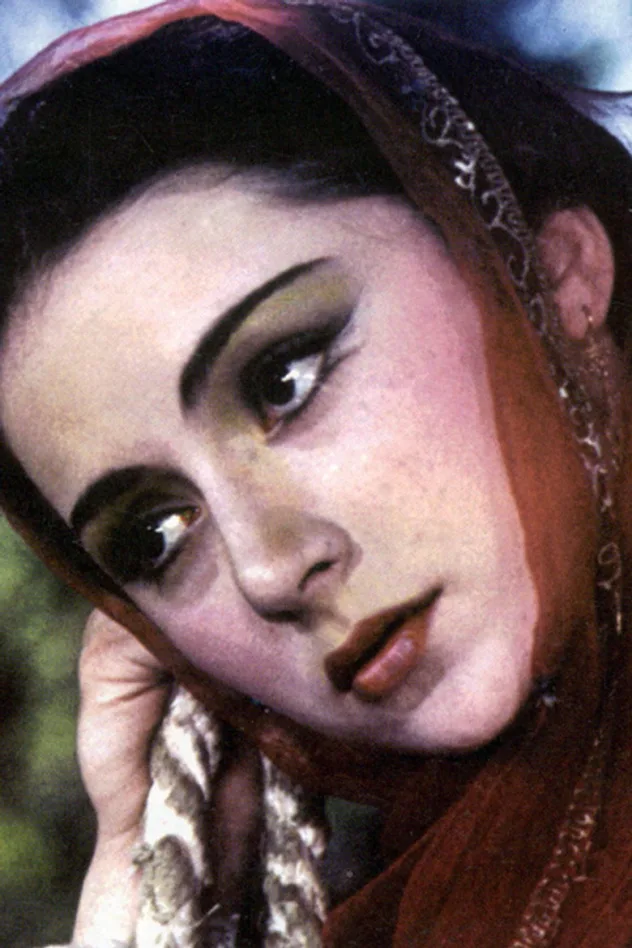 Cover image for Leyla Shikhlinskaya