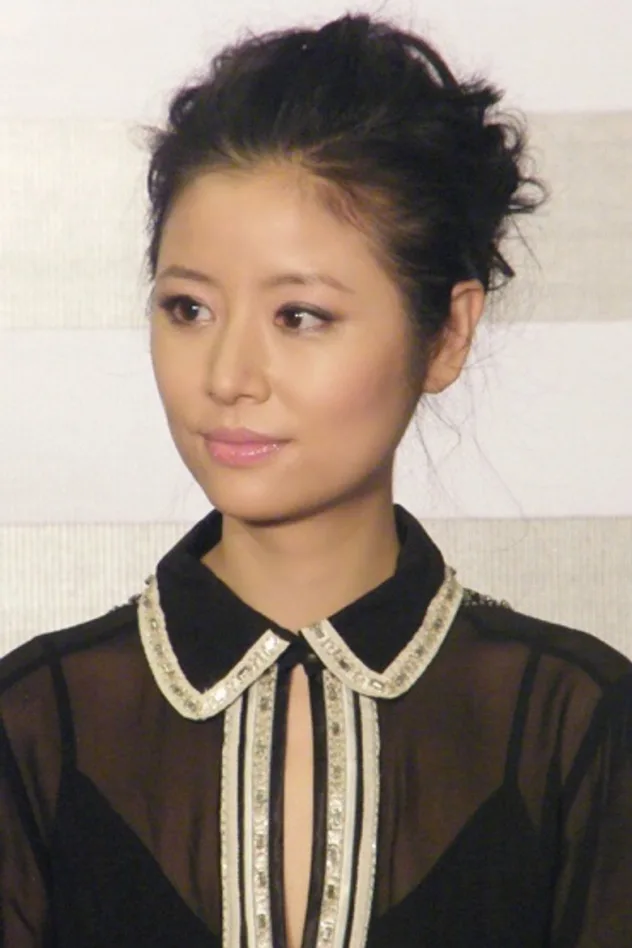 Imagen de portada para Chen Xin Ru