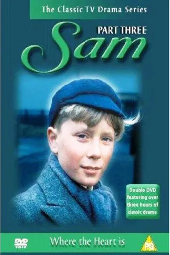 Póster de Sam