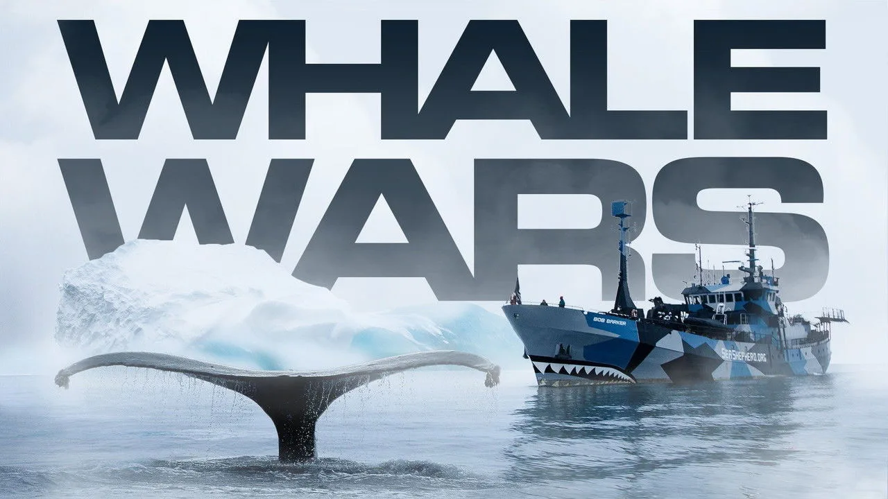 Whale Wars için arka plan görseli