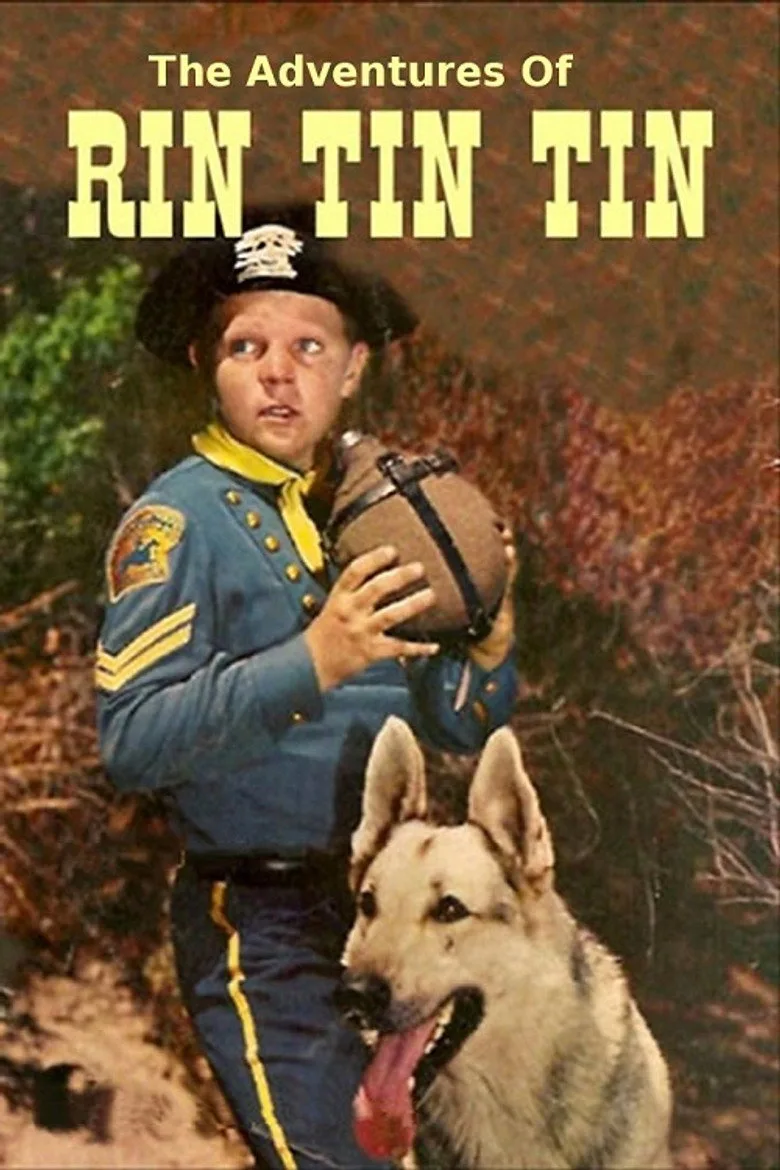 The Adventures of Rin Tin Tin posteri
