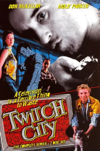 ملصق Twitch City