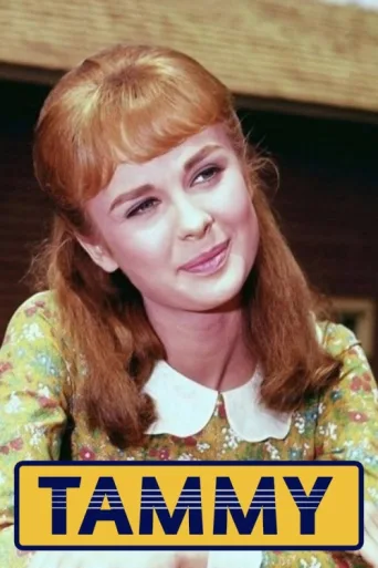 Tammy afişi
