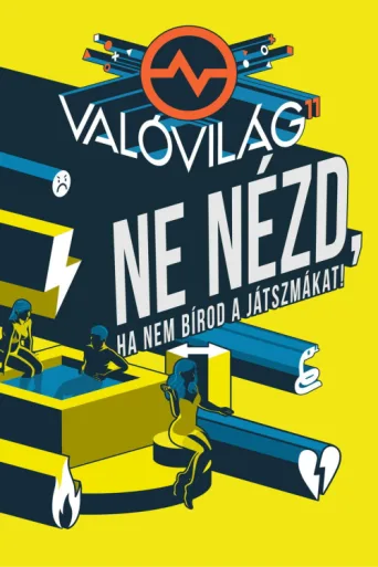 Való Világ afişi
