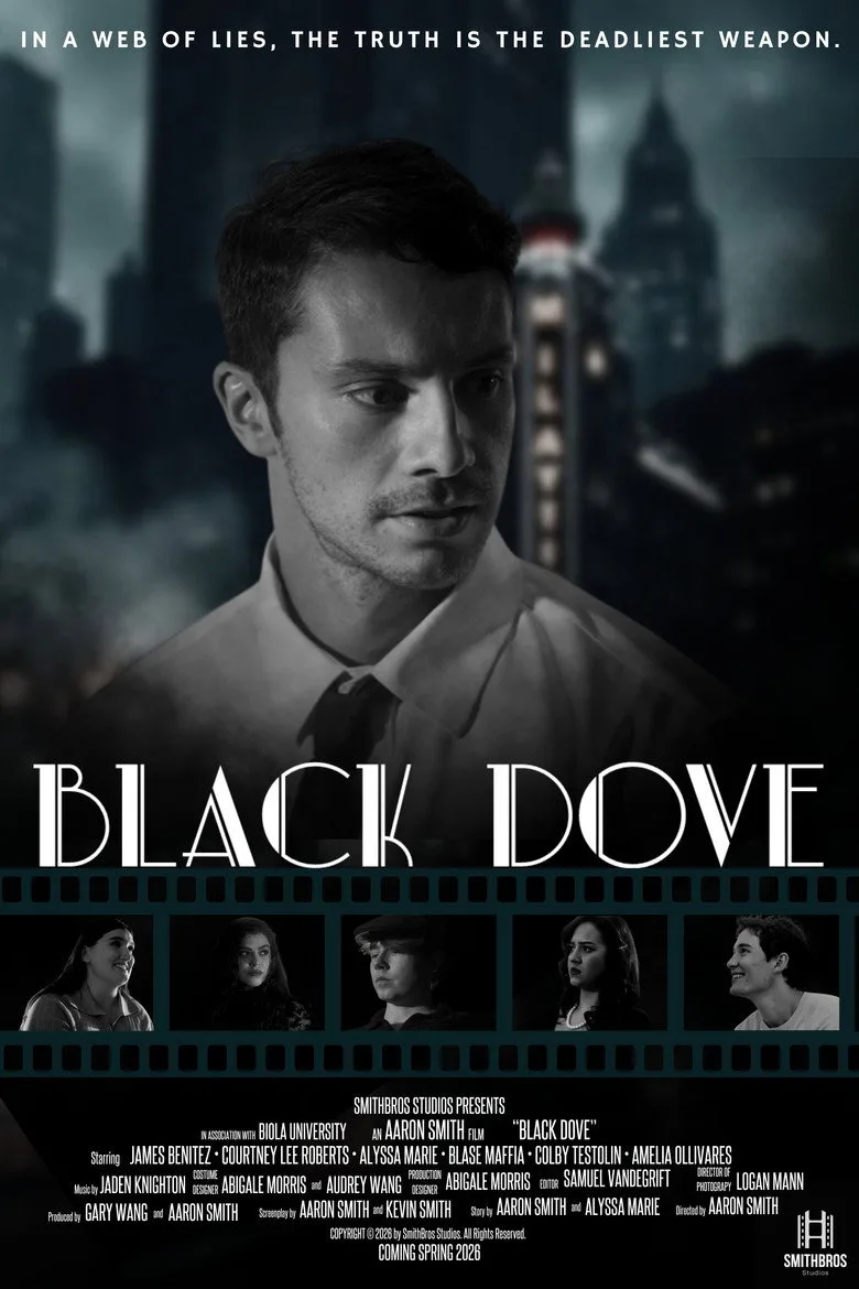 Black Dove posteri