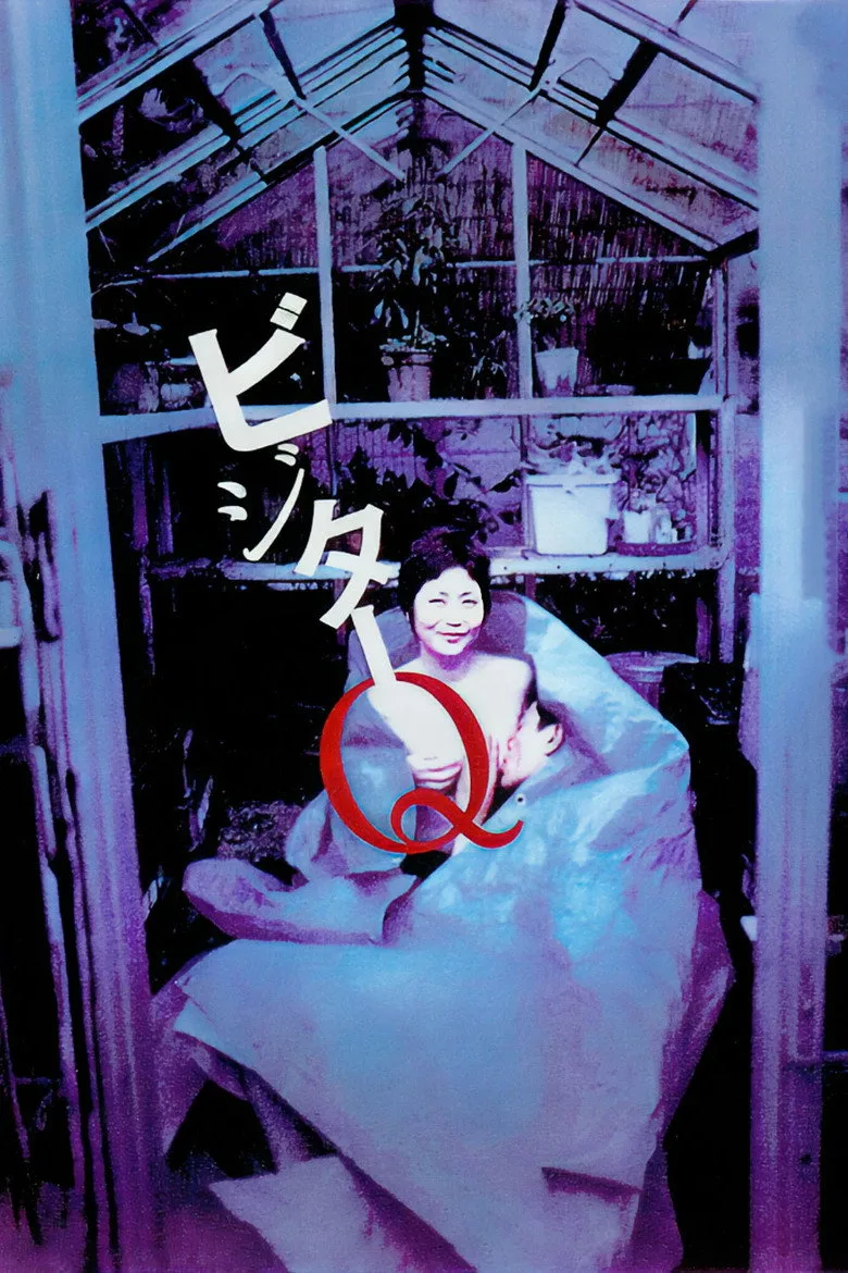 póster de Visitor Q