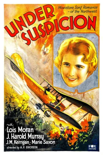 Póster de Under Suspicion