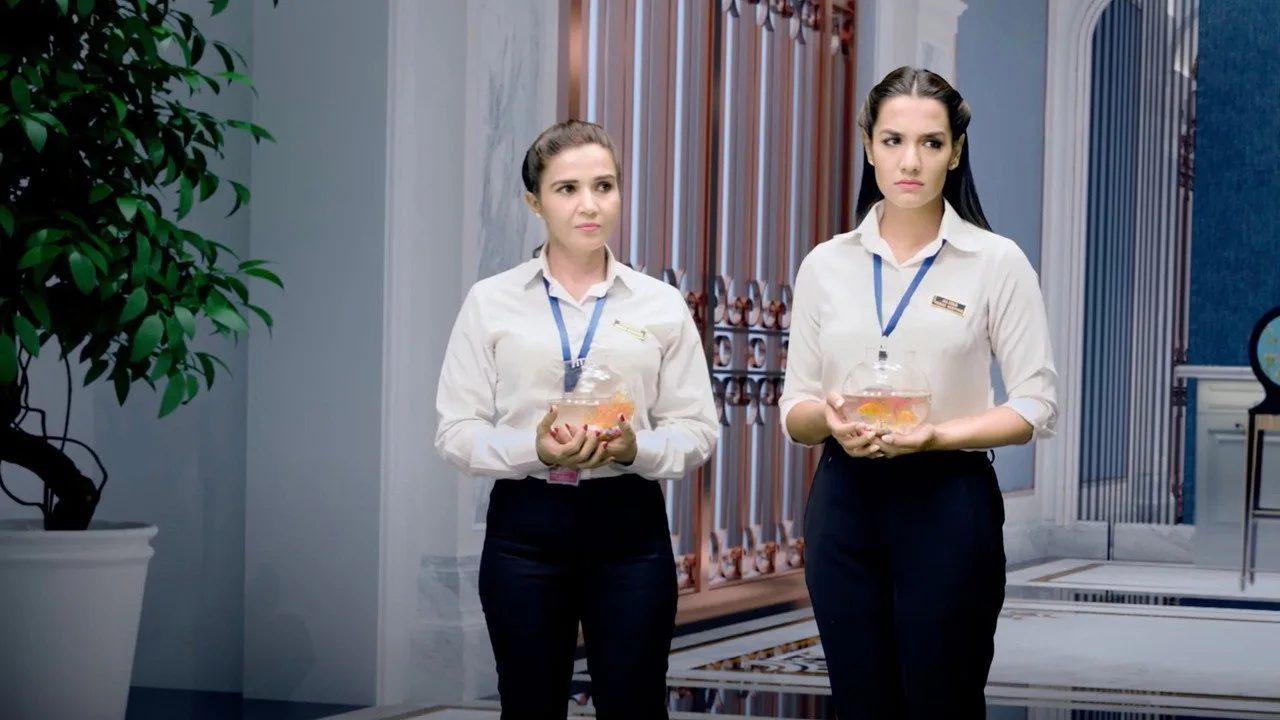 Hello Jindagi için arka plan görseli
