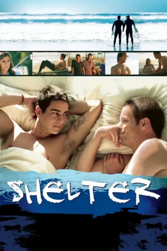 Постер Shelter