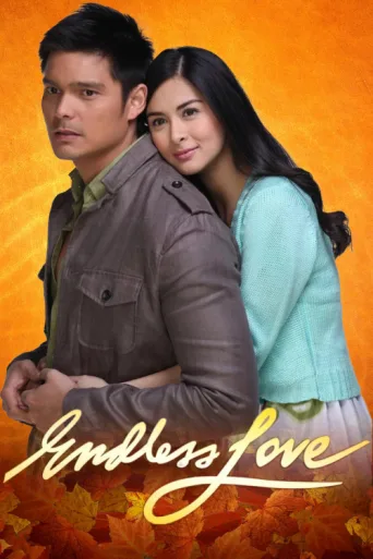 Póster de Endless Love