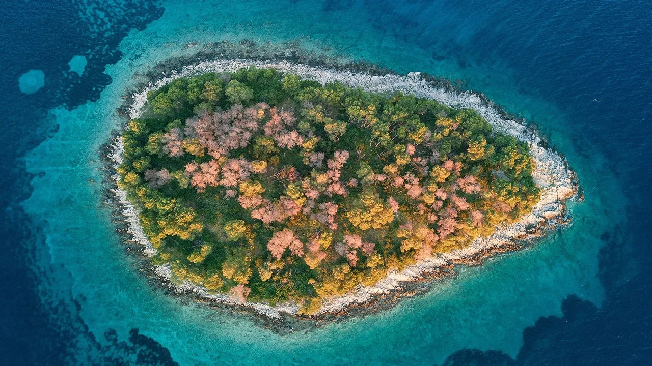 Ushuaïa Nature için arka plan görseli