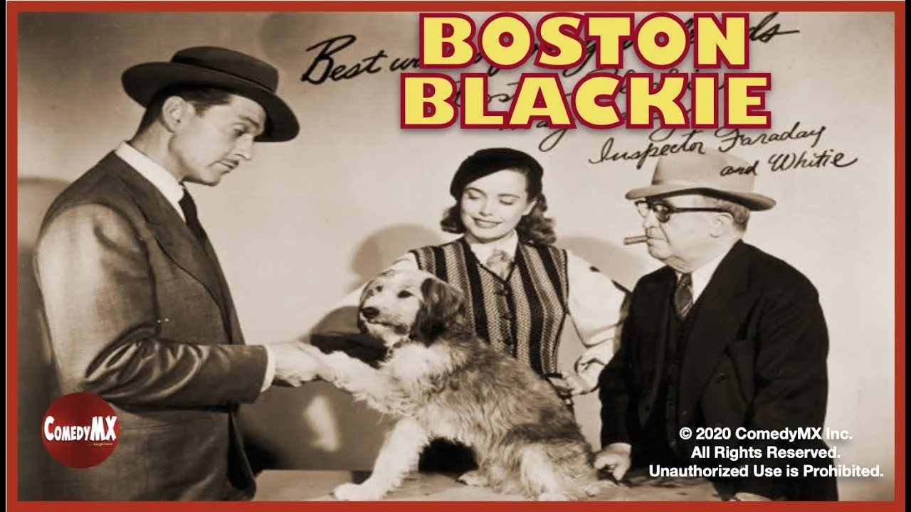 Boston Blackie için arka plan görseli