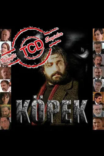 Köpek afişi