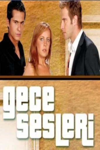 Gece Sesleri afişi