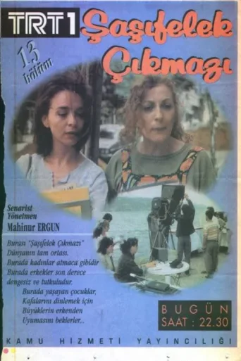 Постер Şaşıfelek Çıkmazı