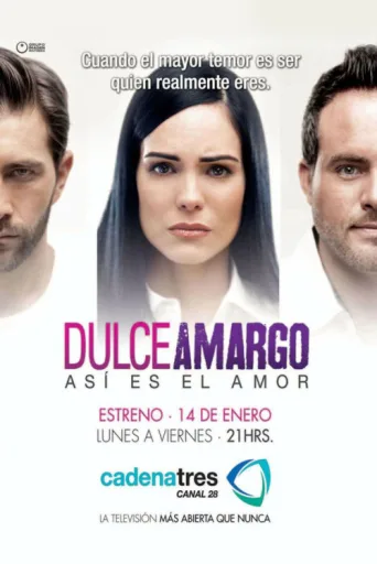 Dulce Amargo afişi