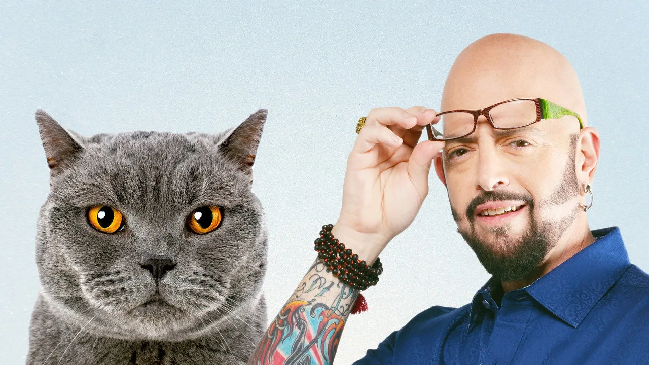 Fondo para Benim Belalı Kedim