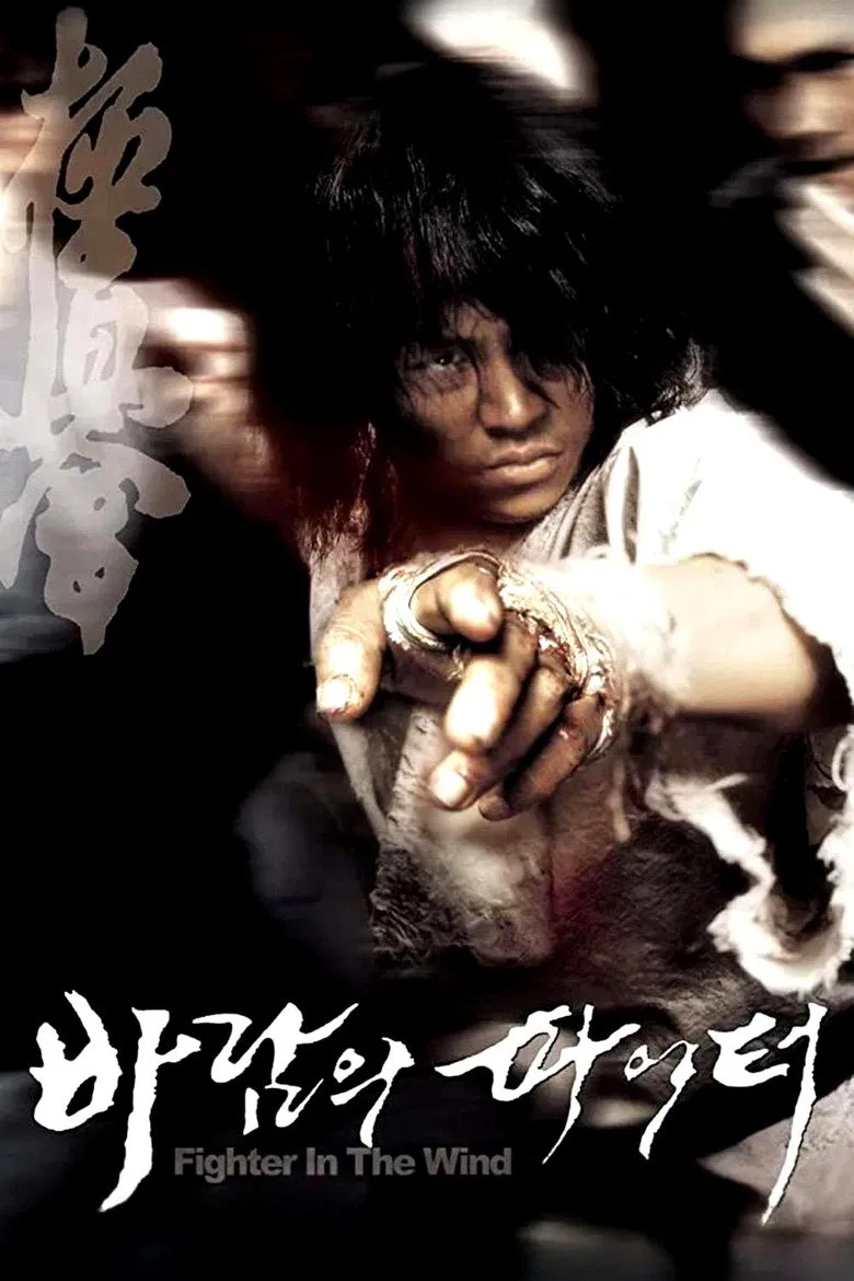 Fighter in the Wind posteri