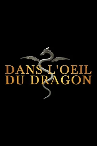 Dans l'oeil du dragon afişi